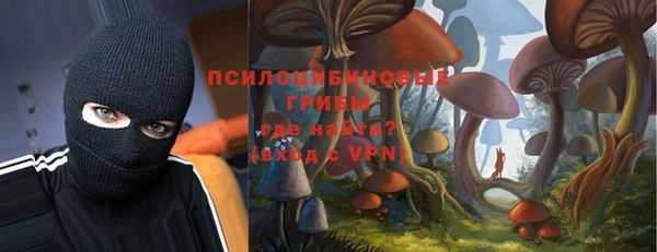 кокс Баксан