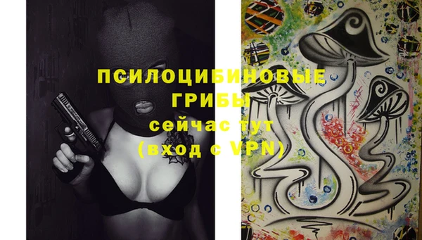 ПСИЛОЦИБИНОВЫЕ ГРИБЫ Белоозёрский