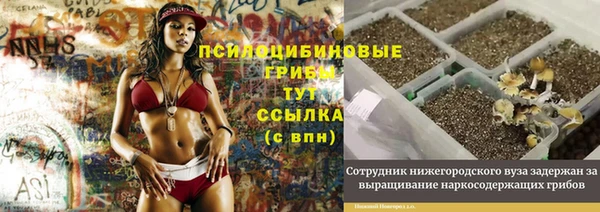 MDMA Premium VHQ Верхнеуральск