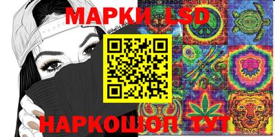индика Гусиноозёрск