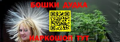 индика Гусиноозёрск