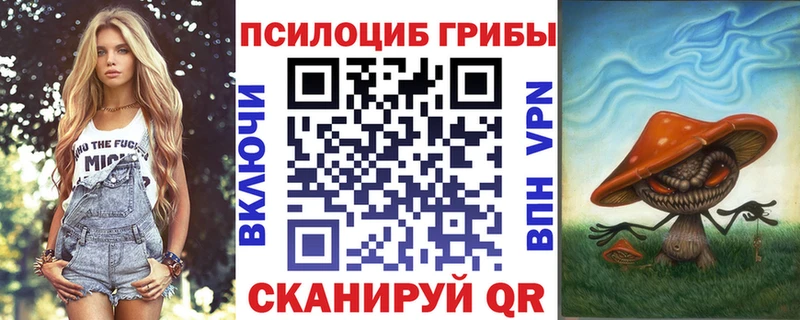 Псилоцибиновые грибы мухоморы кракен tor Заринск