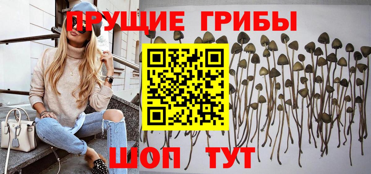 Галлюциногенные грибы мухоморы Заринск
